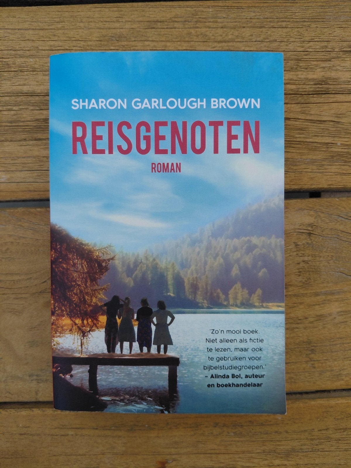 Reisgenoten - Sharon Garlough Brown, Boeken, Romans, Ophalen of Verzenden, Zo goed als nieuw, Sharon Garlough Brown