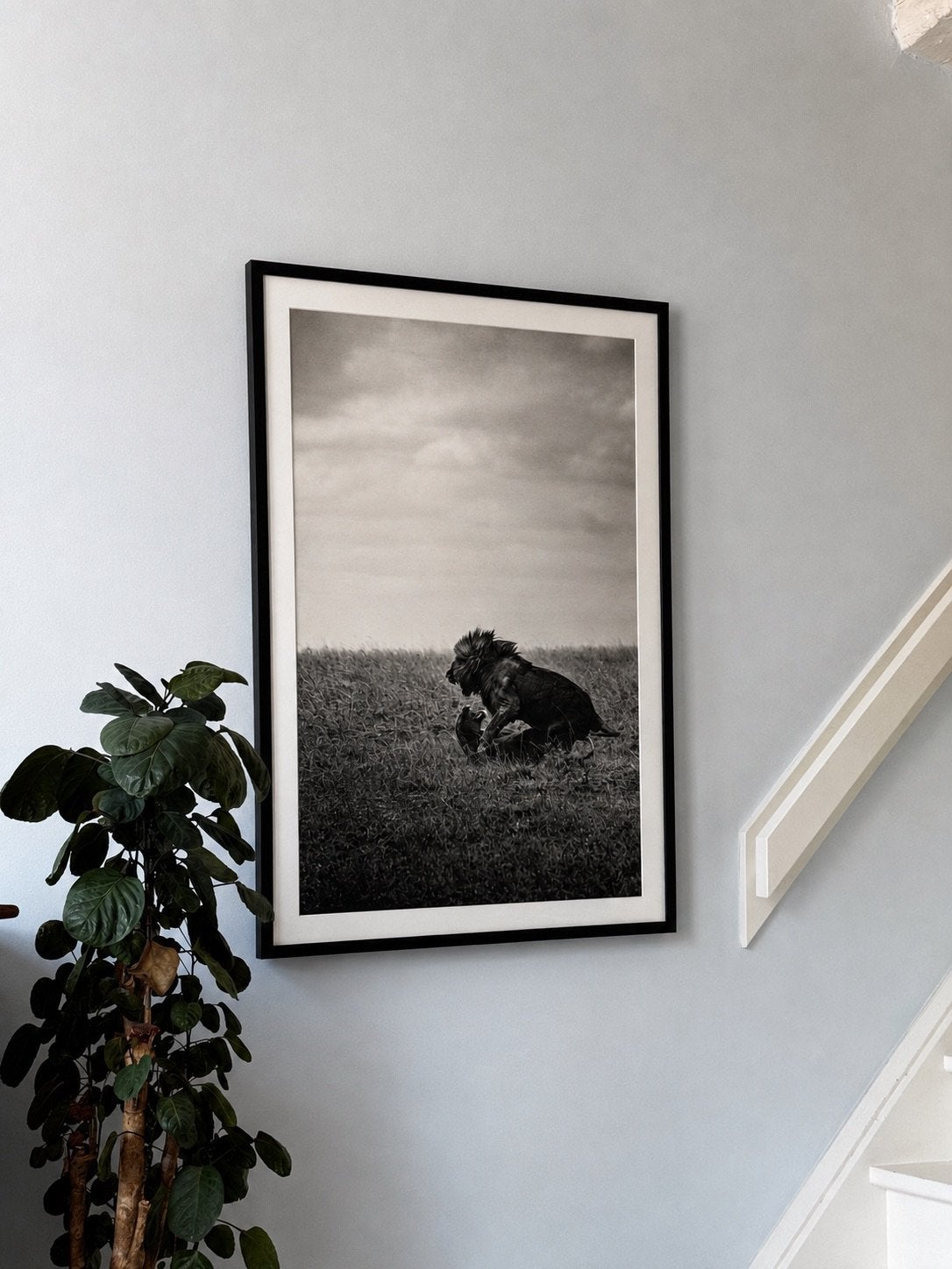Fine Art Print Leeuwen Serengeti — Zwart-wit, Ophalen of Verzenden, Foto, Fotografie, Ingelijst