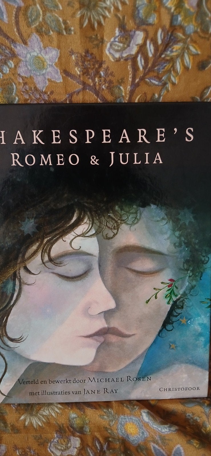 Jane Ray: Romeo & Julia, Boeken, Ophalen of Verzenden, Nieuw