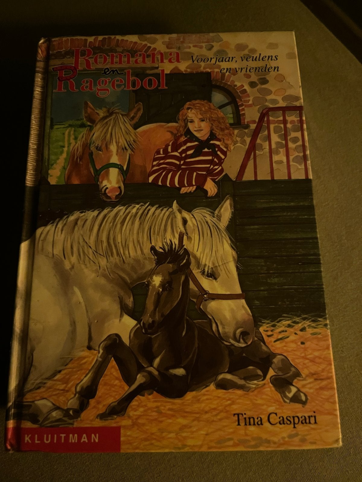 Romana en Ragebol - 4 boeken van Tina Caspari, Ophalen, Gelezen, Fictie