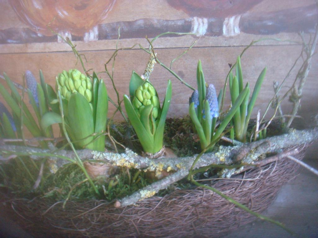 Johan De Hobby Tuinman.tel 0630269721, Diensten en Vakmensen, Tuinmannen en Stratenmakers, Garantie, Tuinonderhoud of Snoeiwerk