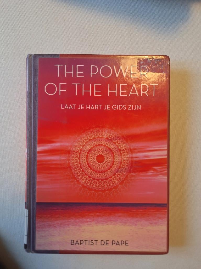 The Power of the Heart - Baptist de Pape, Gelezen, Achtergrond en Informatie, Spiritualiteit algemeen, Ophalen of Verzenden