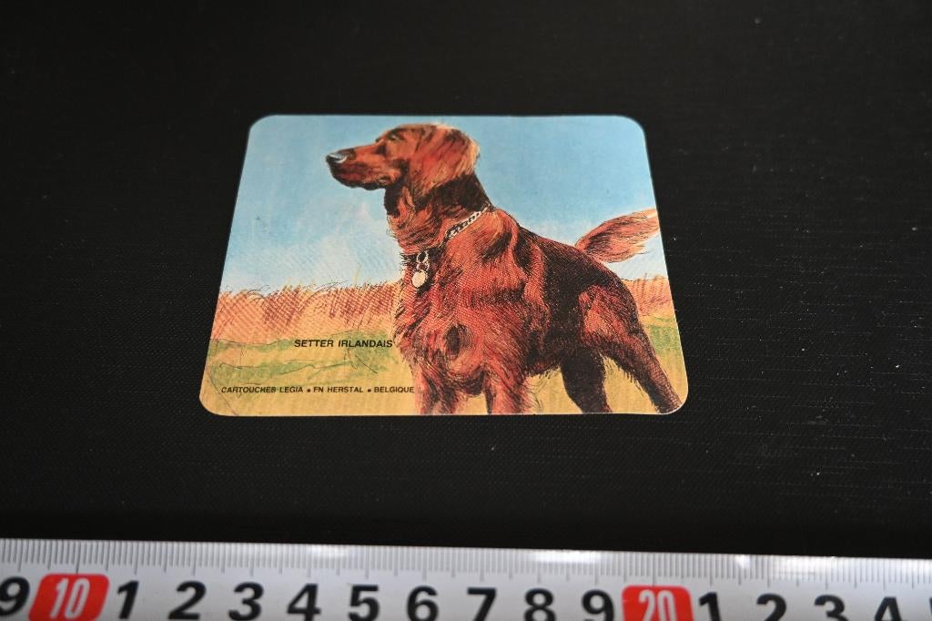 sticker Ierse Setter, Ophalen, Zo goed als nieuw
