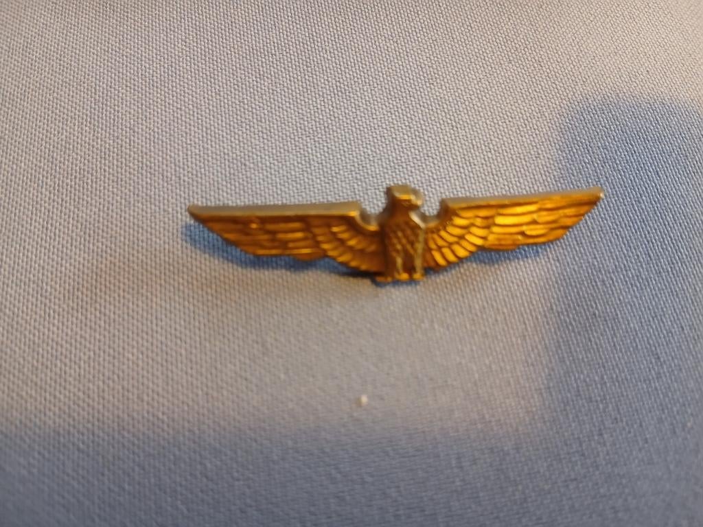 Speldje, Verzamelen, Ophalen of Verzenden, Gebruikt, Overige onderwerpen, Speldje of Pin