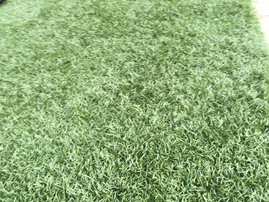 24m2 Kunstgras. 4cm Hoog! (4m x 6m) €120,-, Kunstgras, Gebruikt, 20 m² of meer, Ophalen of Verzenden