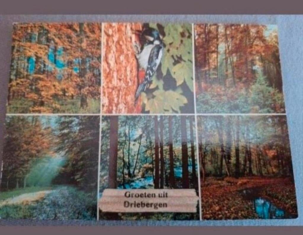 Ansichtkaart Groeten uit Driebergen, Ophalen of Verzenden