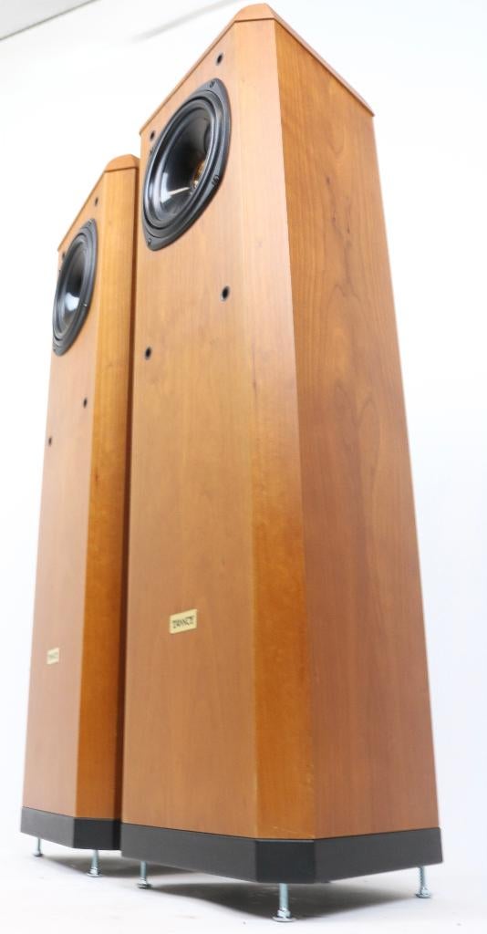 Tannoy D300 Vloerstaande luidsprekers, Overige merken, Ophalen of Verzenden, Zo goed als nieuw, N.v.t