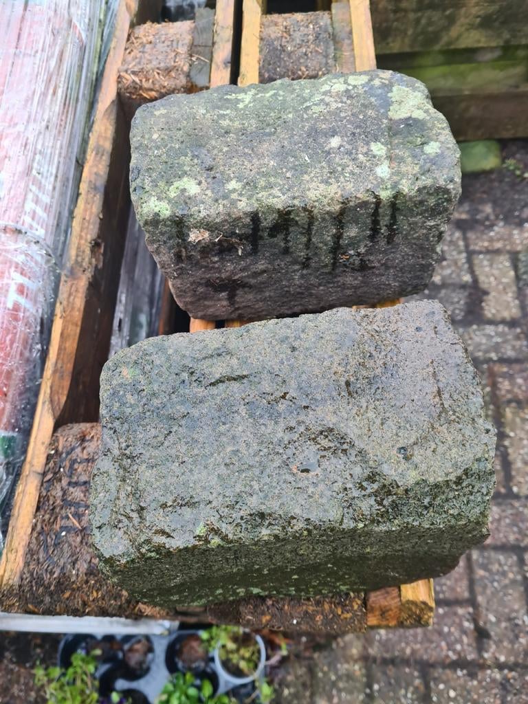 Kinderkoppen ca 400 stuks, Tuin en Terras, Minder dan 3 m³, Ophalen