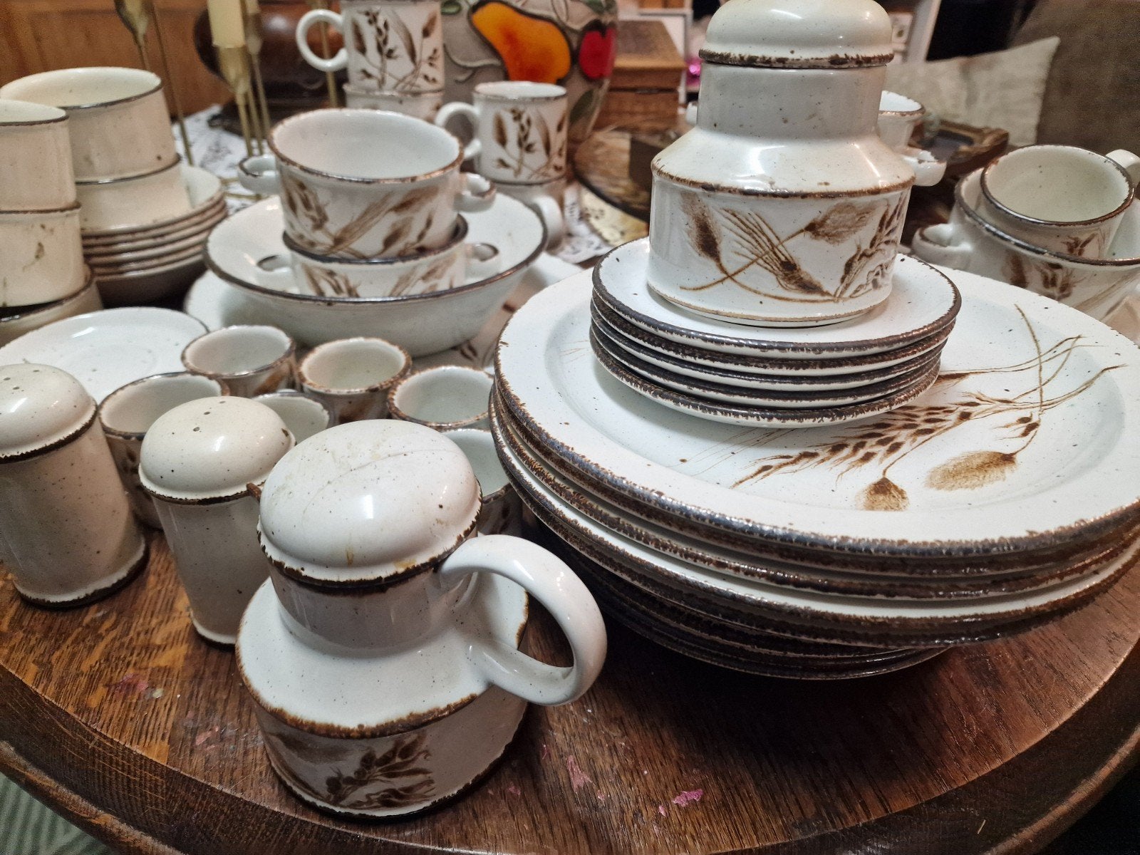 Vintage Midwinter Stonehenge Wild Oats Servies, Ophalen