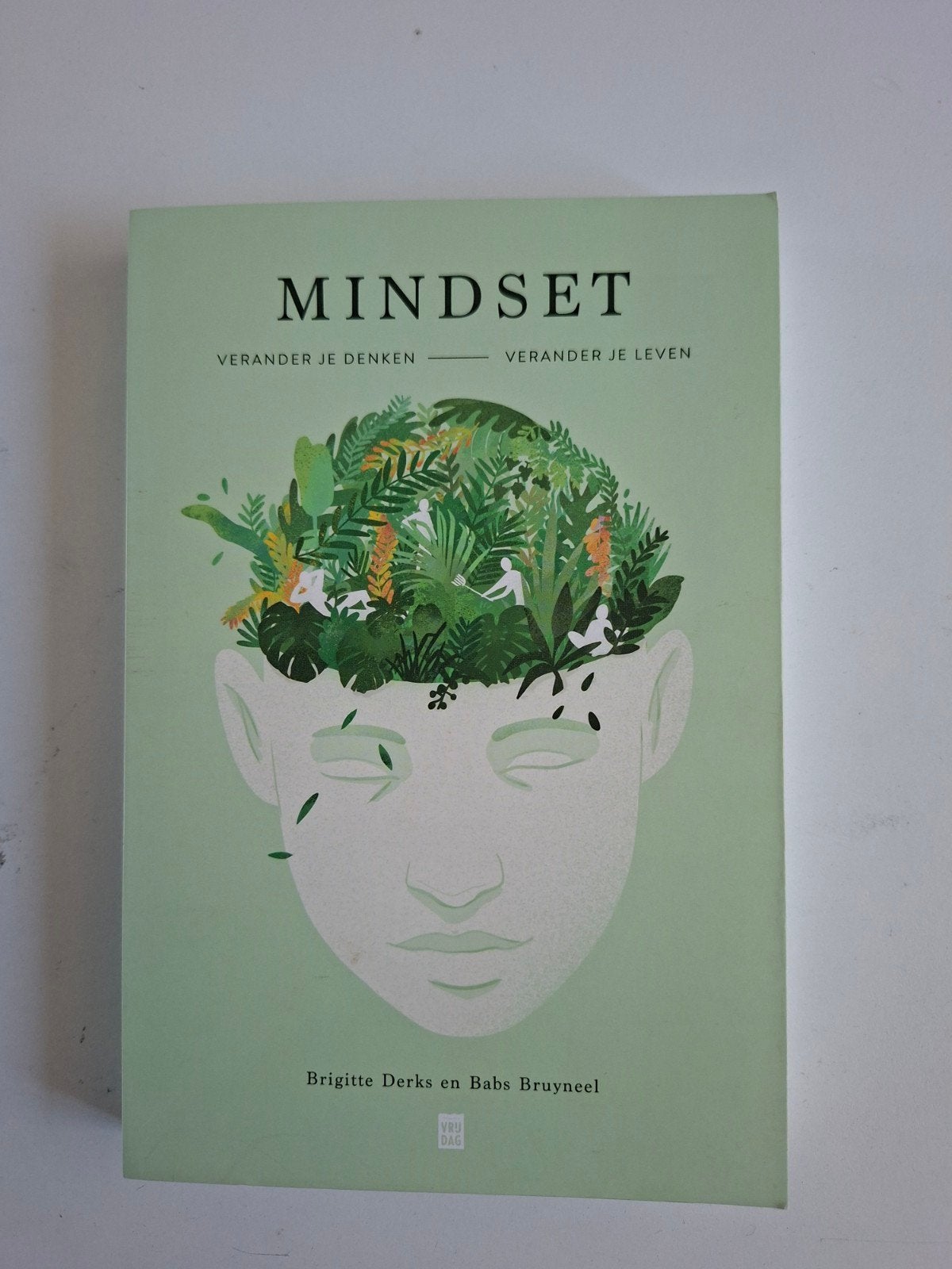 Mindset: Verander je denken, verander je leven, Boeken, Ophalen of Verzenden, Zo goed als nieuw, Brigitte Derks en Babs Bruyneel
