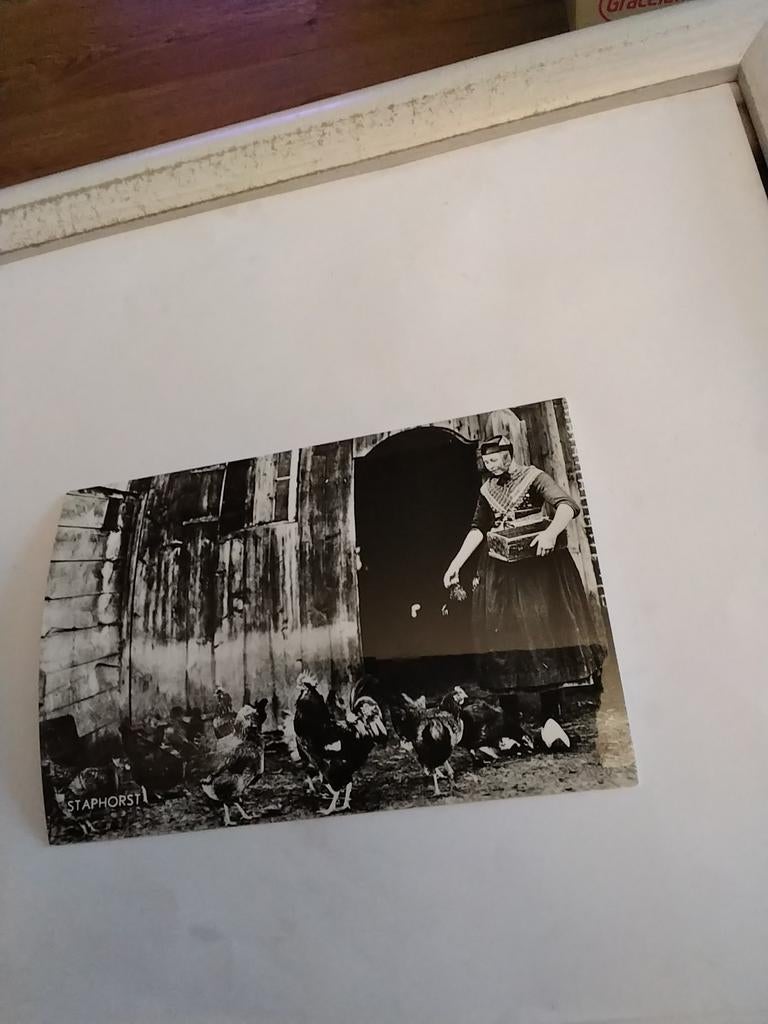 STAPHORST.  KIPPEN VOEREN, Ophalen of Verzenden, Voor 1920, Zeeland