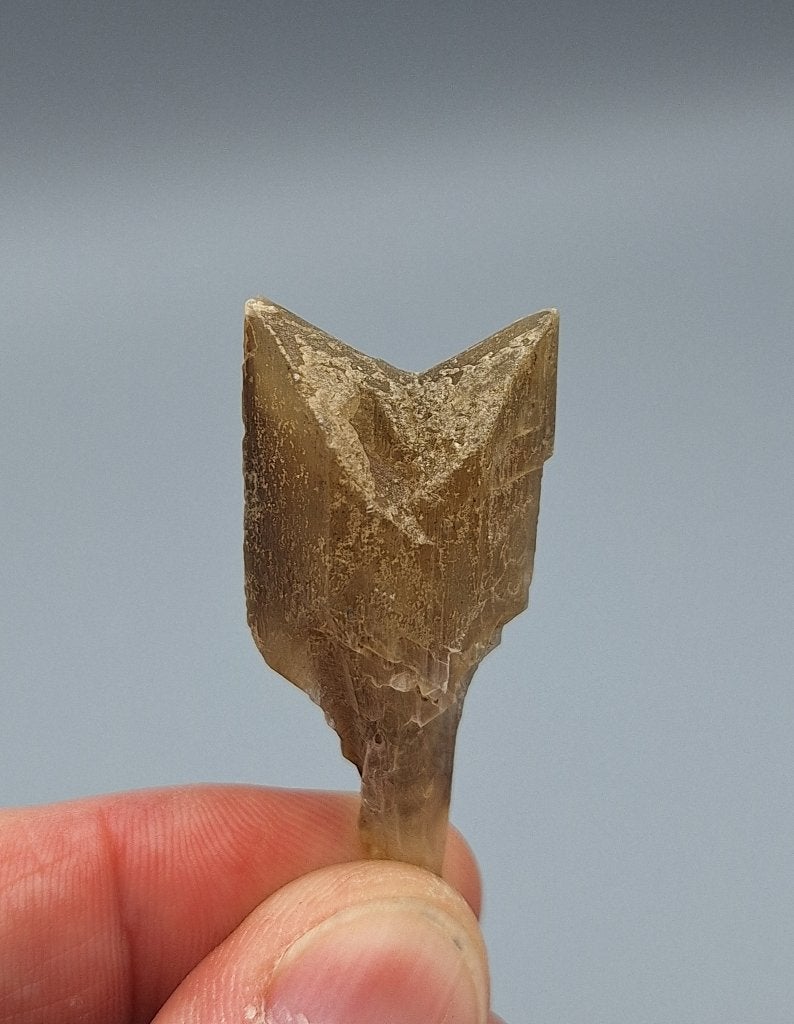 Gips - Bad Ischl, Oostenrijk, Verzamelen, Mineralen en Fossielen, Ophalen of Verzenden, Mineraal