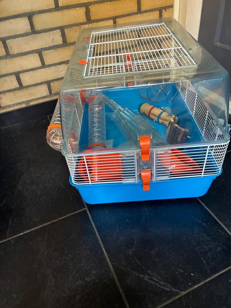 Hamsterhok, Minder dan 60 cm, Minder dan 75 cm, Ophalen of Verzenden, Zo goed als nieuw