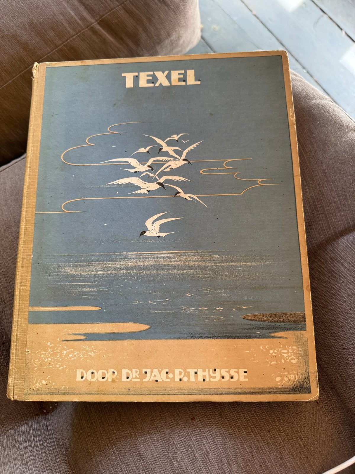 Zeldzaam Verkade Album Texel - Dr. Jac. P. Thijsse (1927), Ophalen of Verzenden, Gelezen, Plaatjesalbum