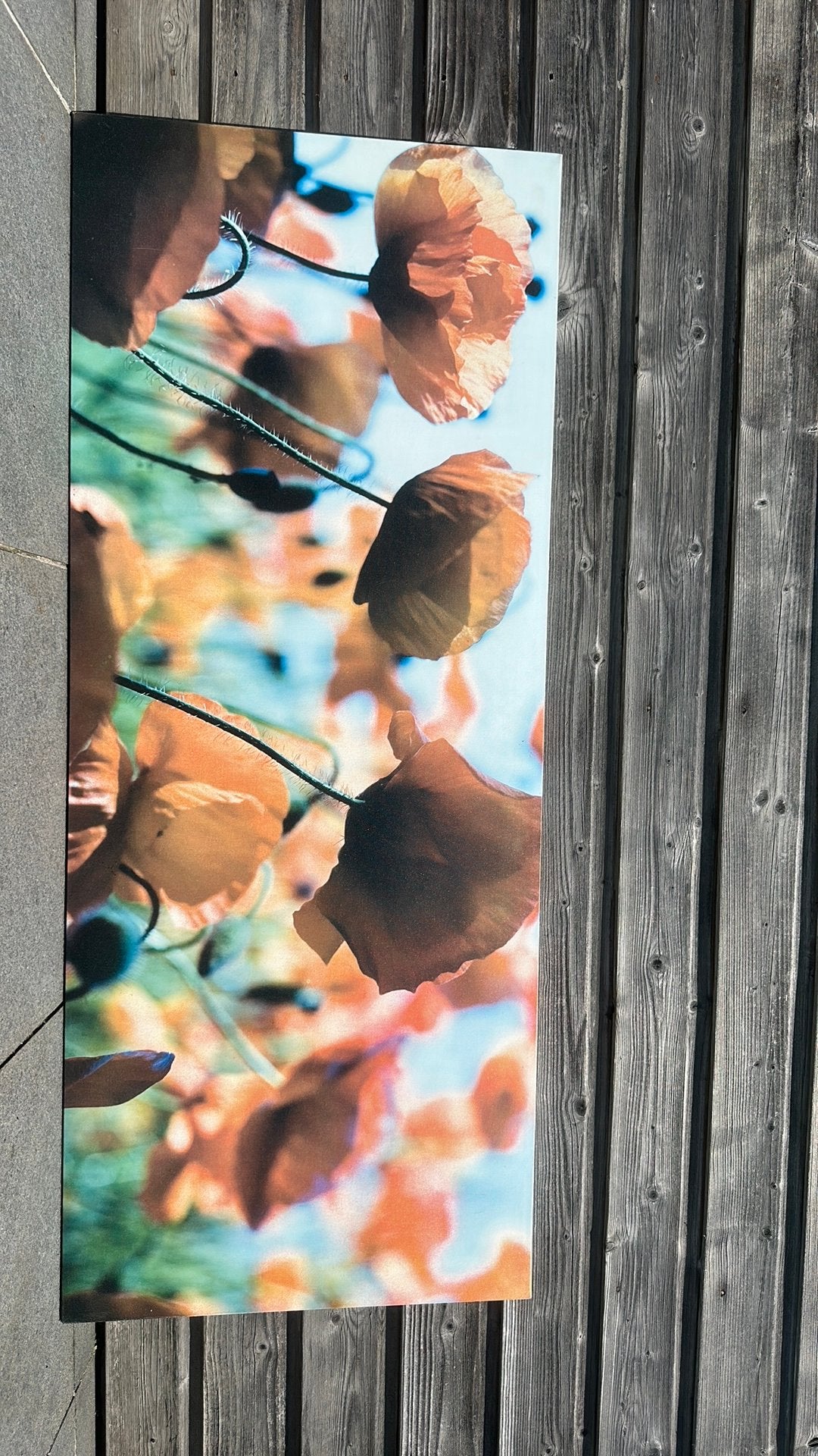 Schilderij, Ophalen, Zo goed als nieuw, Schilderij
