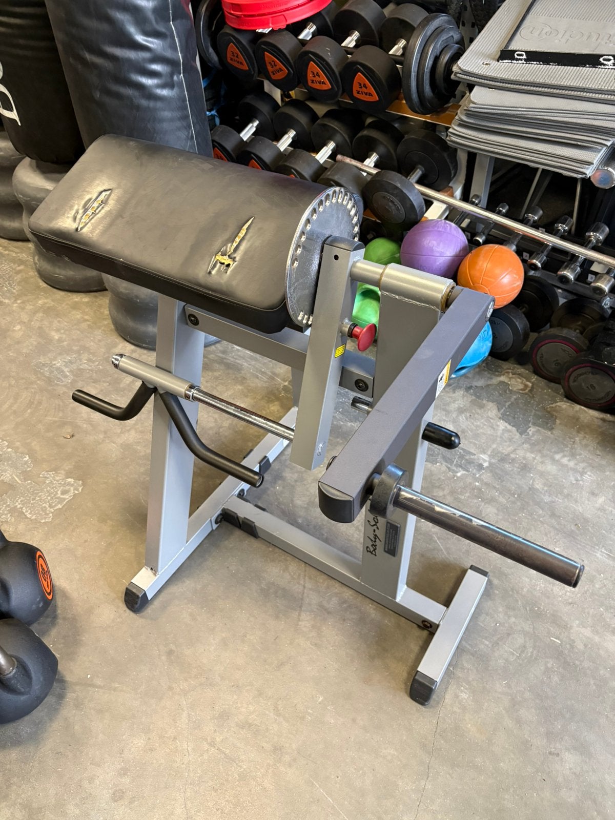 Body solid biceps curl bank, Ophalen, Gebruikt, Overige typen, Body solid