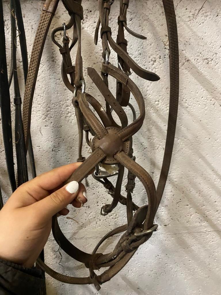 Hoofdstel te koop!, Ophalen, Zo goed als nieuw