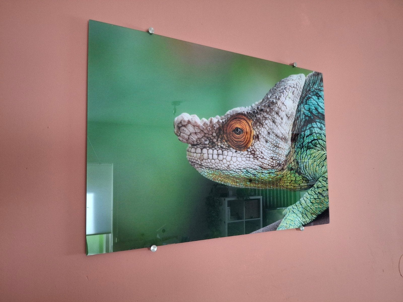 Kameleon, Ophalen, 50 tot 75 cm, Schilderij