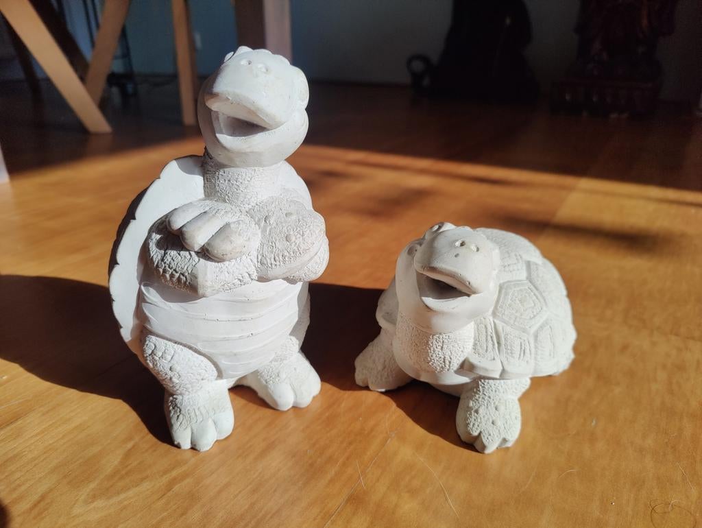 2 schildpadden, Ophalen of Verzenden, Gebruikt, Dier