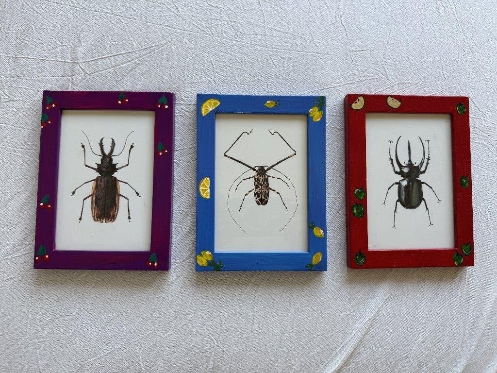 kleine fotolijst / wissellijst 3 beschikbaar, Audio, Tv en Foto, Fotografie | Fotolijsten, Ophalen, Gebruikt, Wissellijst, Hangend