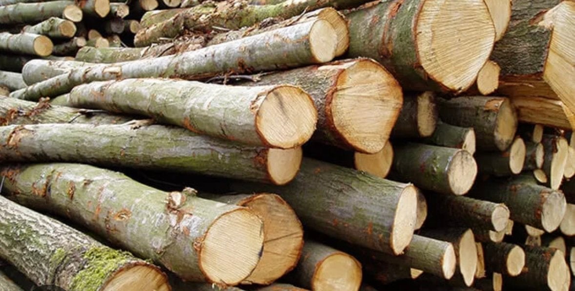 GEZOCHT: openhaard hout droog of stammen, Tuin en Terras, Haardhout, Minder dan 3 m³, Ophalen of Verzenden