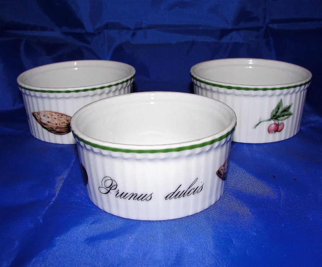 Apilco Porcelaine Elysian Garden Ramekins Prunus Dulcis, Overige merken, Overige typen, Ophalen of Verzenden, Zo goed als nieuw