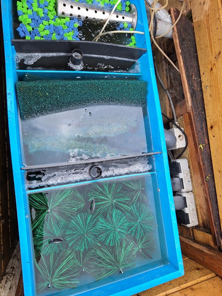 Superfish vijverfilter met pomp, UV lamp en luchtpomp, Tuin en Terras, Ophalen, Gebruikt, Vijverfilter