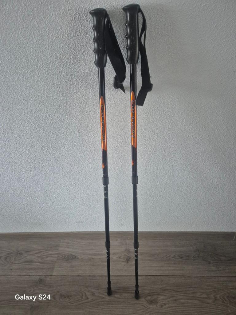 Gipron wandel stokken/nordic walking, Ophalen of Verzenden, Gebruikt, Wandelstok