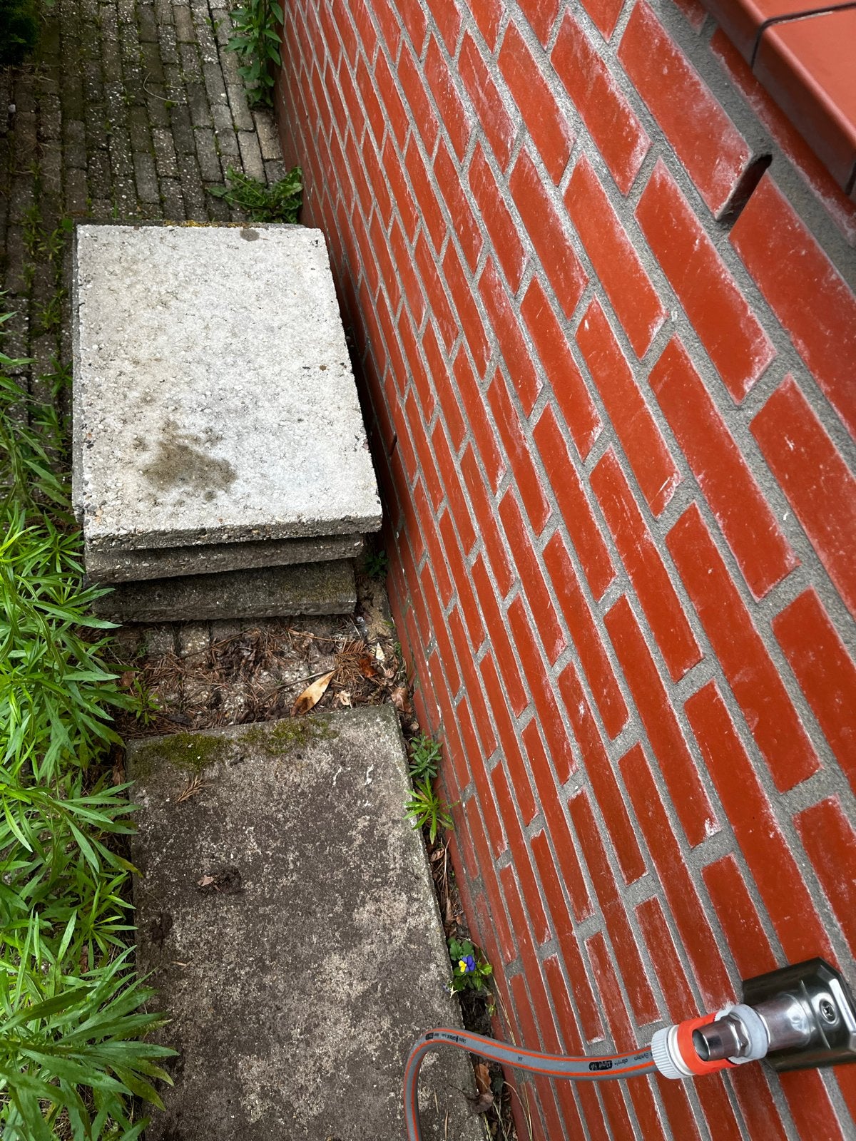 Gratis gebruikte betonnen terrastegels 40x60 cm, Tuin en Terras, Tegels en Klinkers, Ophalen, Gebruikt, 5 tot 10 m², Beton