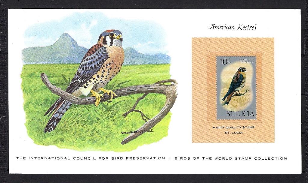 VOGELS kaart St. Lucia American Kestrel (zegel XX), Postzegels en Munten, Ophalen of Verzenden, Postfris, Dier of Natuur