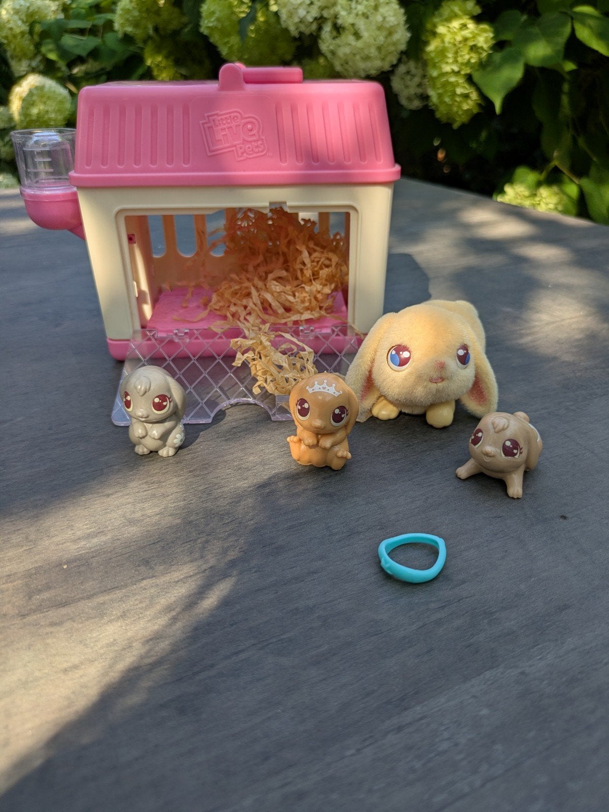 Little Live Pets Suprise mini compleet en onbeschadigd, Ophalen of Verzenden, Zo goed als nieuw, Jongen of Meisje