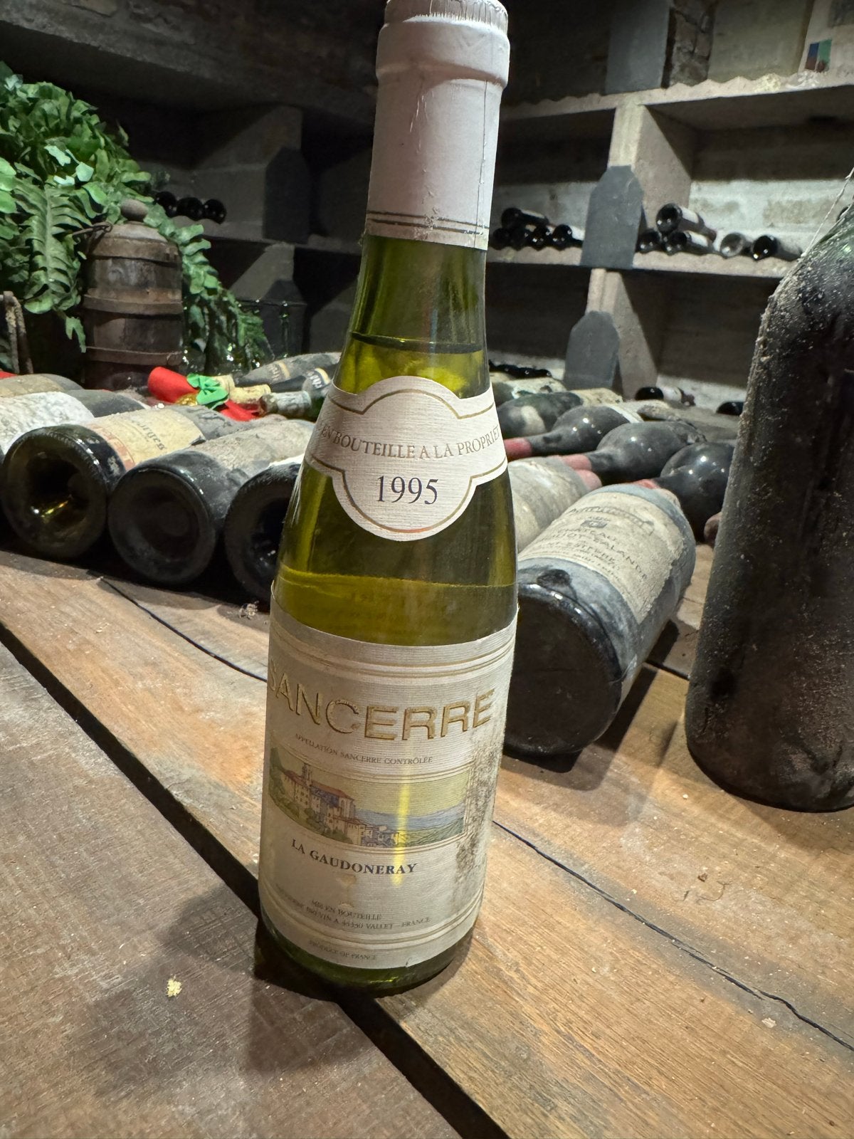 6 Flesjes Sancerre 1995, 375 ml - Opruiming Wijnkelder, Verzamelen, Ophalen, Gebruikt, Frankrijk, Witte wijn