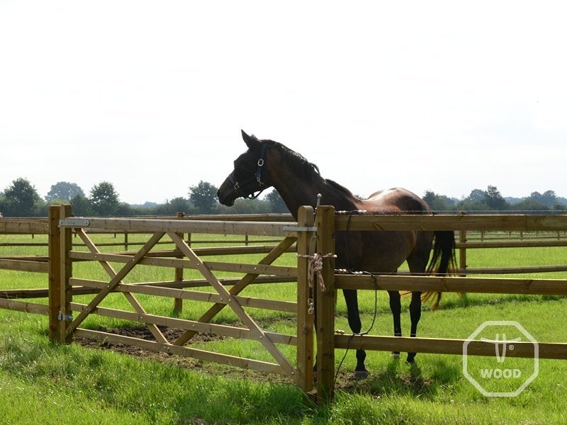 Paddock 20 x 60 m | Weide & afrastering, Dieren en Toebehoren, Weidegang, 4 paarden of pony's of meer