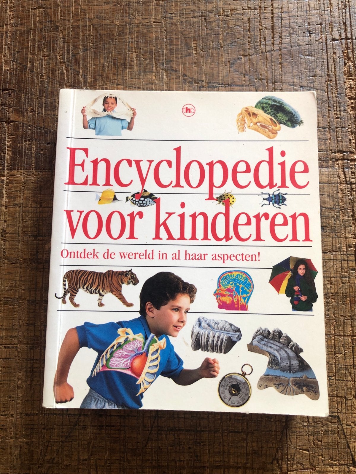 Encyclopedie voor kinderen - Ontdek de wereld, Ophalen of Verzenden, Zo goed als nieuw, Algemeen, Los deel
