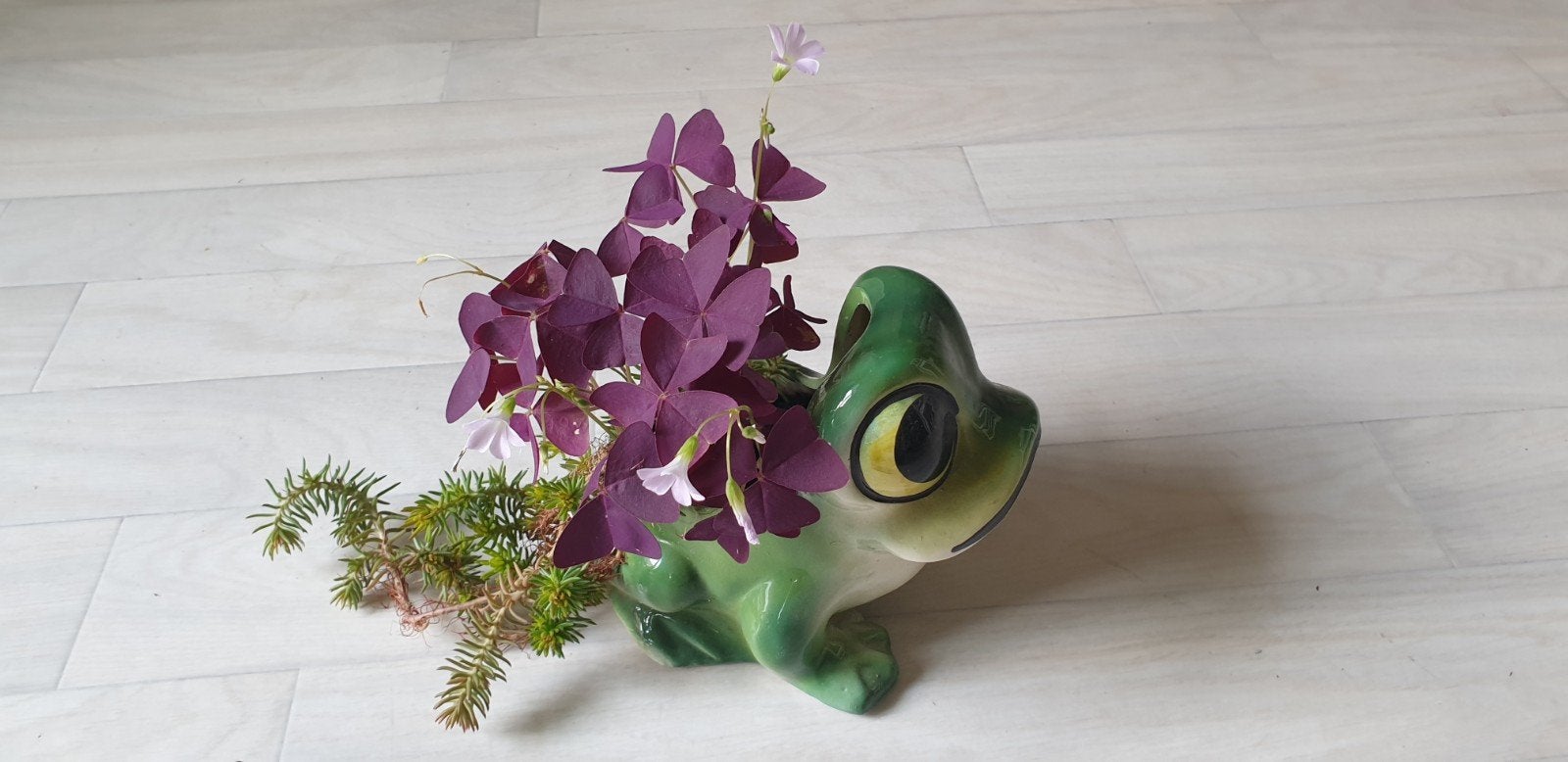 Leuke kleine kikker bloempot met geluksklaver plant, Tuin en Terras, Ophalen, Gebruikt, Balkon, Overige vormen