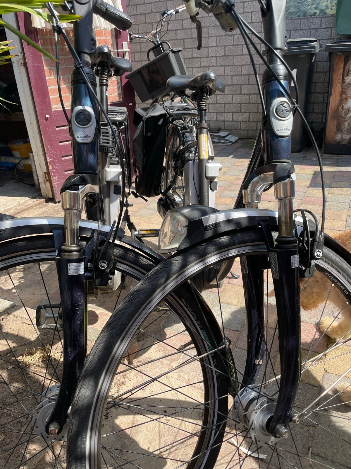 Gazelle Impulse elektrische fietsen (2 stuks), Fietsen en Brommers, Ophalen, Gebruikt, 51 tot 55 cm, Gazelle