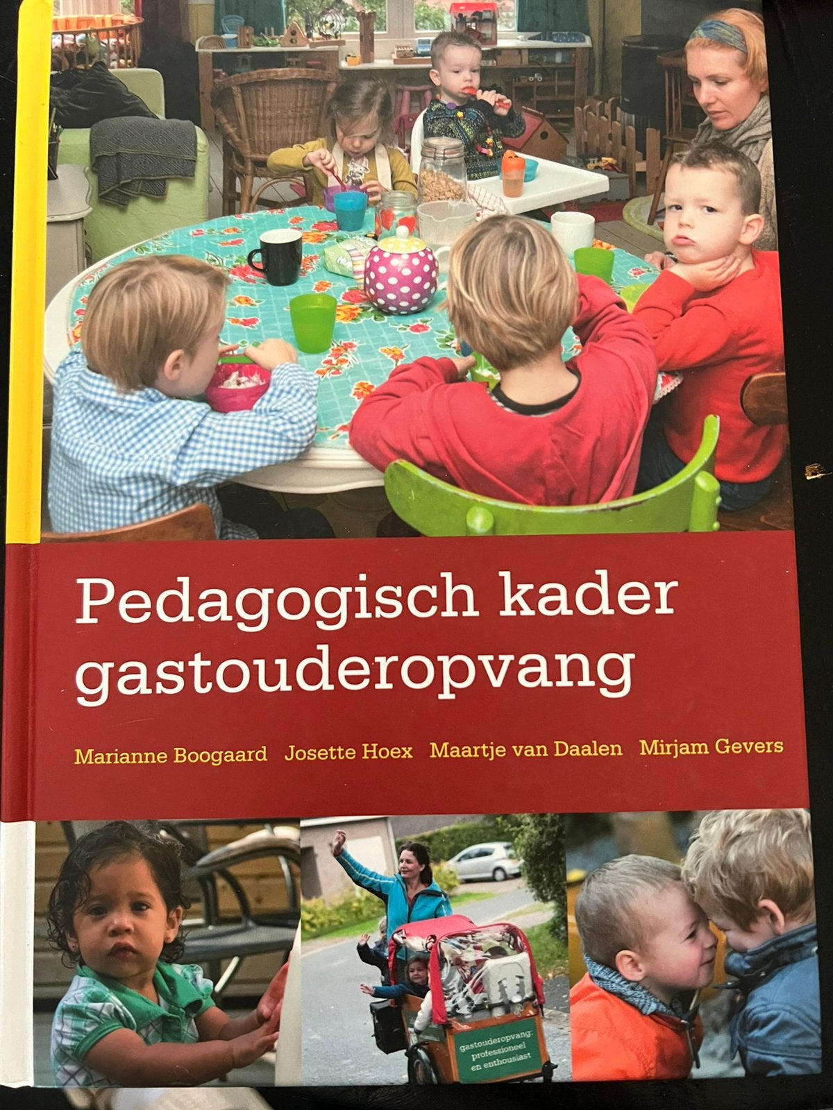Pedagogisch kader gastouderopvang, Ophalen of Verzenden, Zo goed als nieuw, Opvoeding tot 6 jaar