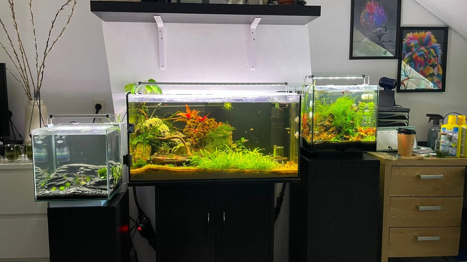Compleet aquarium, Ophalen, Gebruikt, Leeg aquarium