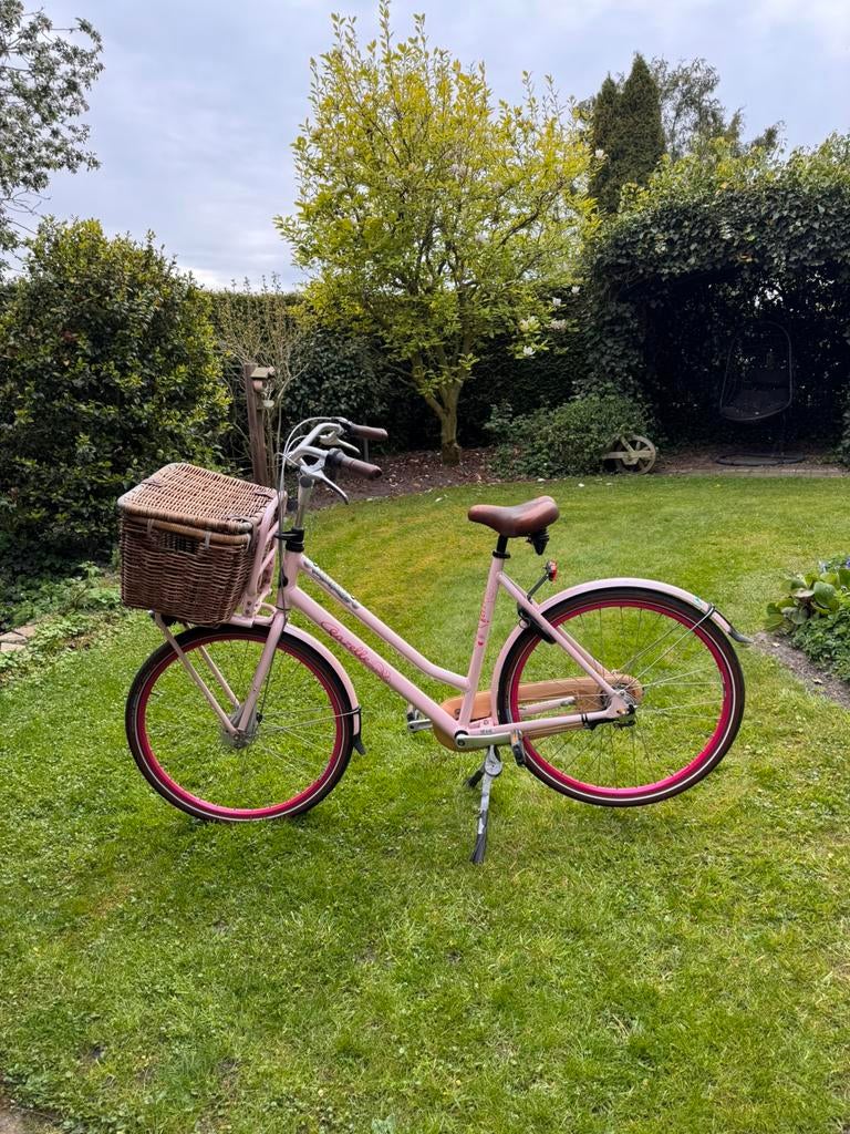 Roze Gazelle Miss Grace damesfiets, Ophalen, Terugtraprem, Versnellingen, 53 tot 56 cm