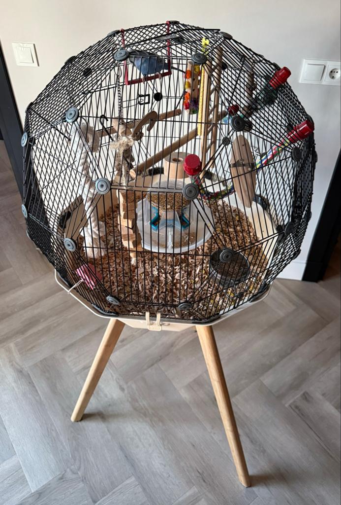 GEO VOGELKOOI - INCLUSIEF GEO ACCESSOIRES, Ophalen, Zo goed als nieuw, Metaal, Vogelkooi