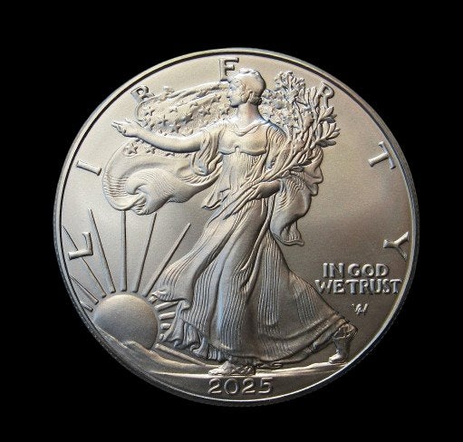 **  2025 - USA - Silver Eagle 2025 One Dollar -  ZILVER  **, Verzenden, Noord-Amerika, Losse munt, Zilver
