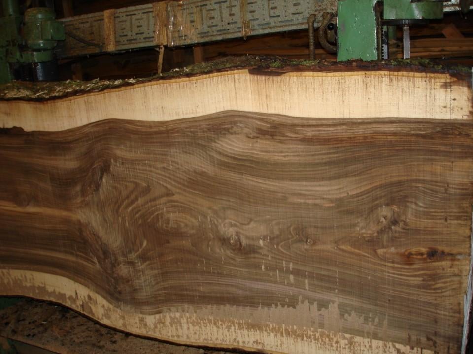 NOTEN-PEREN-KERSEN-LINDE-ES-ESDOORN-ACCACIA, Nieuw, Ophalen of Verzenden, Plank, 50 mm of meer