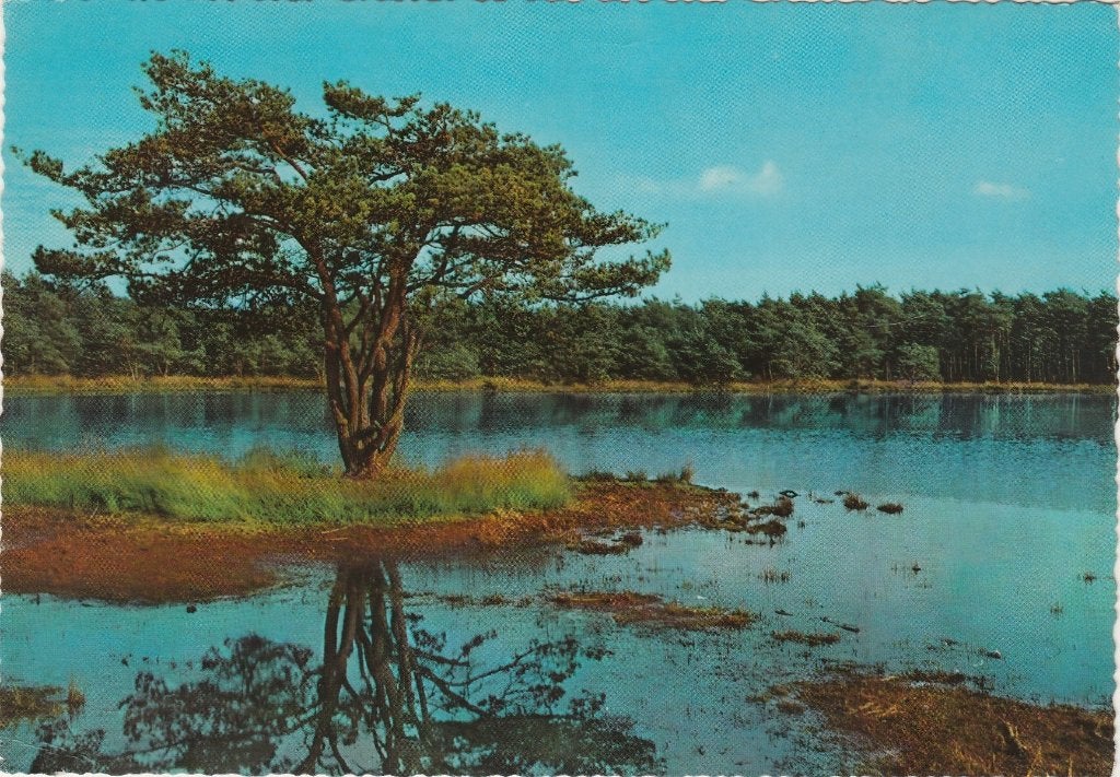 CHAAM Rondven, Verzenden, 1960 tot 1980, Gelopen, Noord-Brabant