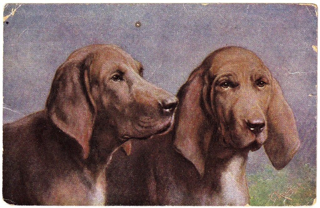 Kaart 1912 - Bloedhond Sint-Hubertushond Hond Sint Hubertus, Ophalen of Verzenden, Voor 1920, Gelopen, Overige thema's