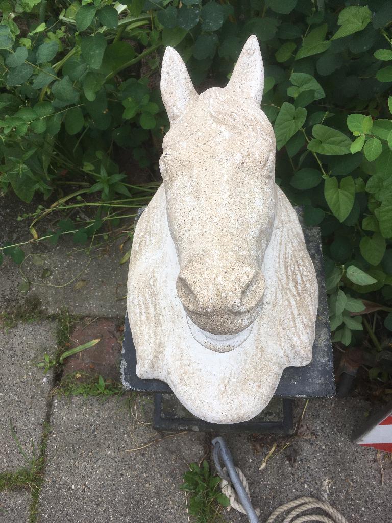 paardenhoofd beton, Tuin en Terras, Tuinbeelden, Ophalen, Gebruikt, Beton, Dierenbeeld