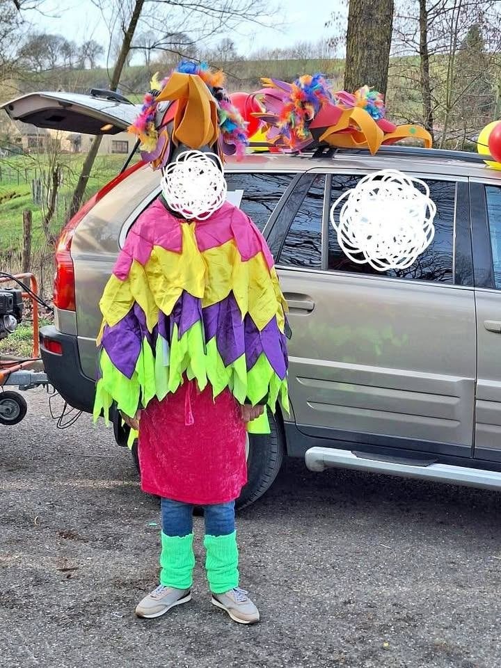 20 papegaaienpakken carnaval, Ophalen, Gebruikt, Kostuum, Carnaval