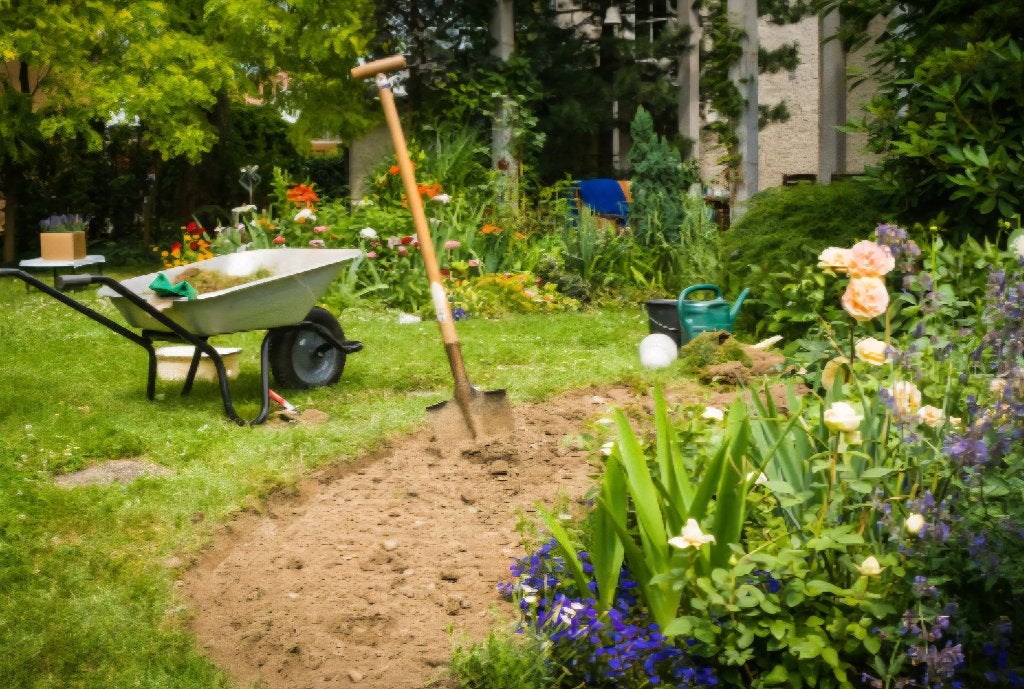 Gezocht: Tuinman/tuinvrouw voor hulp bij tuinonderhoud, Tuinonderhoud of Snoeiwerk