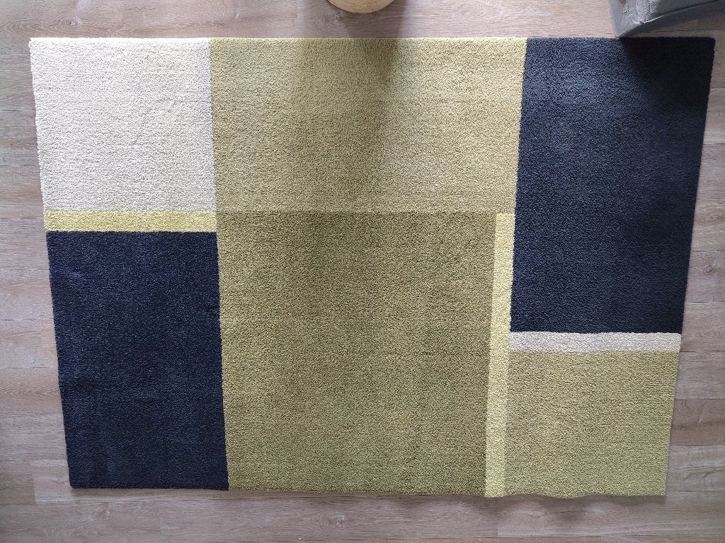 Vloerkleed, laagpolig, beigegroen/donkerblauw, 170x240 cm, Ophalen, Zo goed als nieuw, 200 cm of meer, Blauw