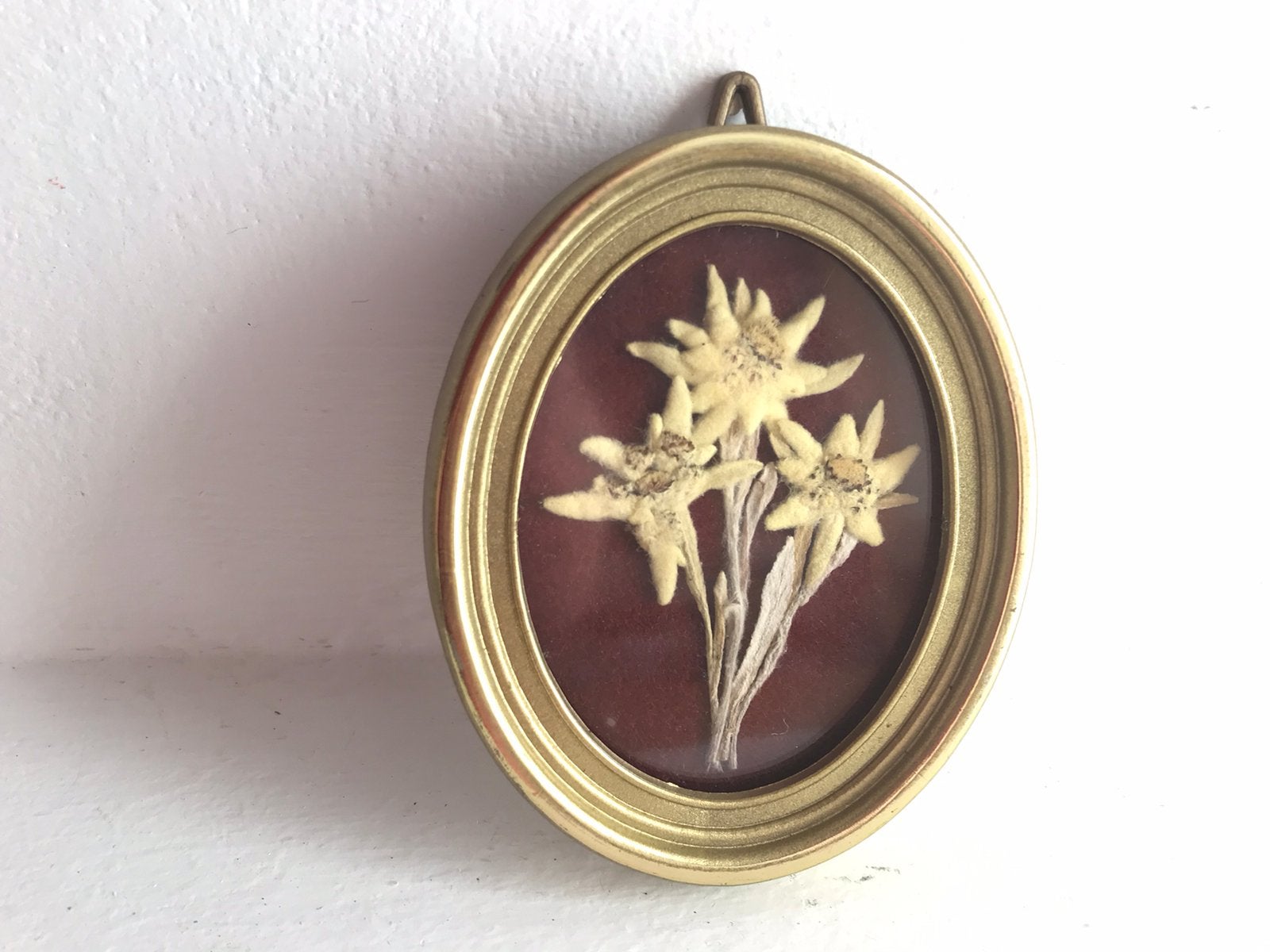 Lijstje ovaal met Edelweiss, Ophalen of Verzenden