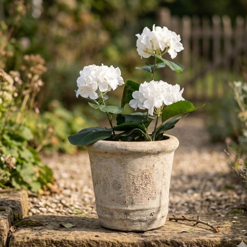 Landelijke bloempot 25cm x 25cm, Desert Rose, Trompstraat 5 2041jb zandvoort, Info@desert-rose.nl, Rond